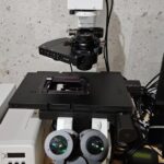 Olympus IX81 Fluorescent Microscope